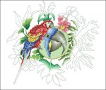(image for) Hyacinth And Scarlet McCaws